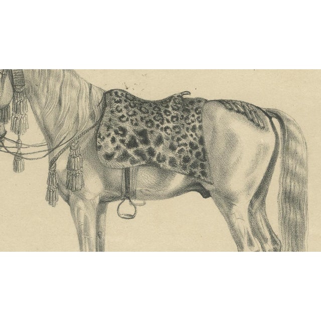 Mid 19th Century G. Ebner, Arabian Horse Vezier with Groom, Stuttgart 1846, Paper Lithograph For Sale - Image 5 of 9