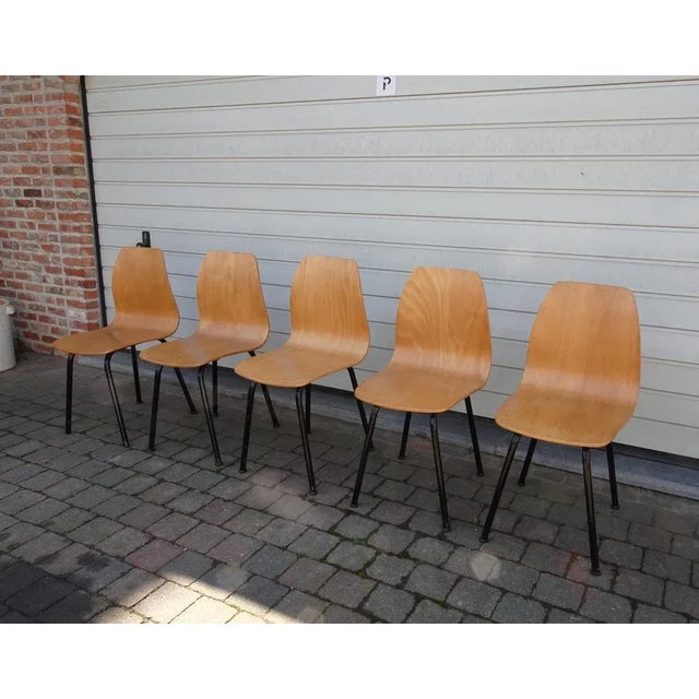 Mid-Century Plywood Chairs, 1960s, Set of 5 For Sale - Image 11 of 12