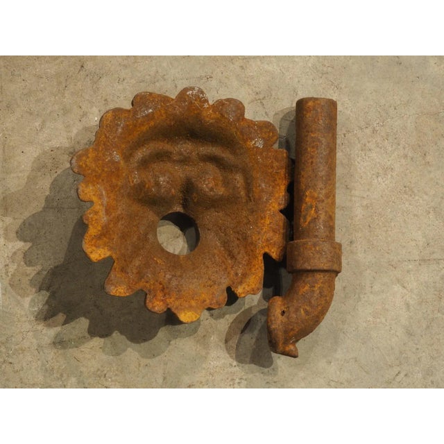 Metal French Cast Iron Mascaron Spout With Backplate For Sale - Image 7 of 7