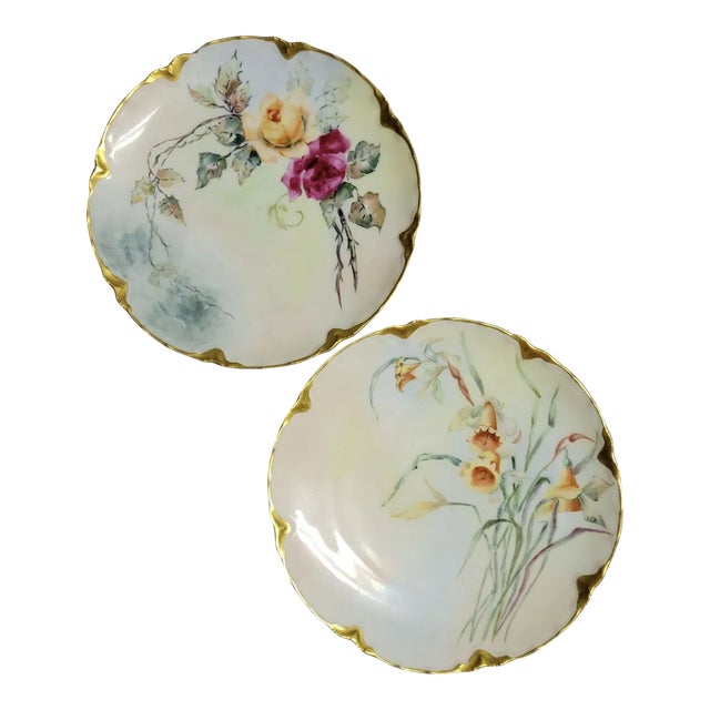 Antique Hand Painted Haviland French Limoges Plates - a Pair For Sale