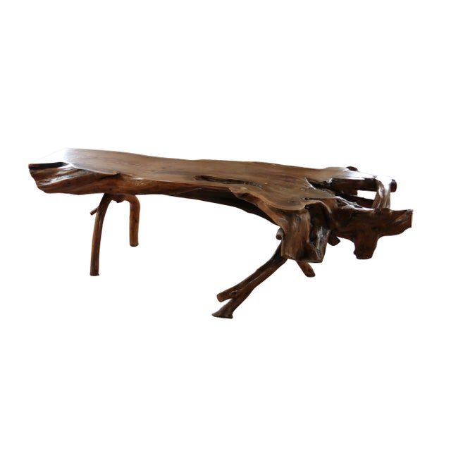 Large Sculptural Rootwood Coffee Table, 1970s For Sale - Image 16 of 16