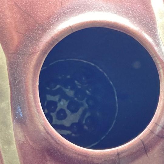 Tony Evans Raku Pottery Vase/Urn 13” Diameter (Signed and Numbered #127) For Sale - Image 14 of 18