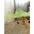 Murano Contemporary Venetian Sunflwer Murano Glass Green Flush Mount For Sale - Image 4 of 7