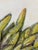 Ears of Corn Acrylic on Canvas Painting, Unsigned For Sale - Image 10 of 12