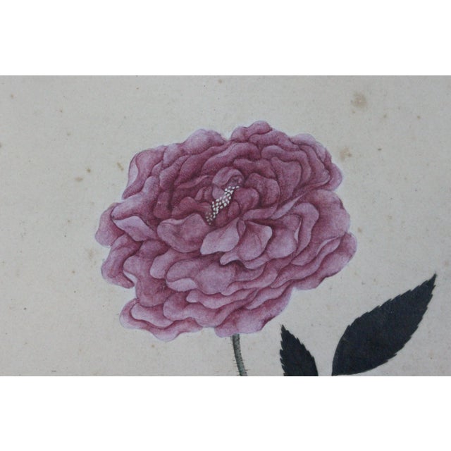 Red Camellia Rose Chinese Watercolour For Sale In New York - Image 6 of 7