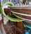 1950s Large Murano Glass Light Fountain, Italy, 1950s For Sale - Image 5 of 13