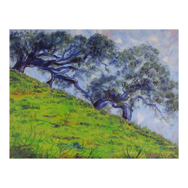 Hillside Cypress Trees, Monterey California Landscape by Virginia Shackles For Sale