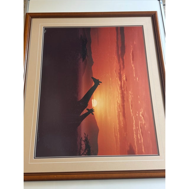 1980s 1987 Thomas D. Mangelsen Signed Limited Edition "Giraffes at Sunset" Framed Photo Print - 169/950 For Sale - Image 5 of 8