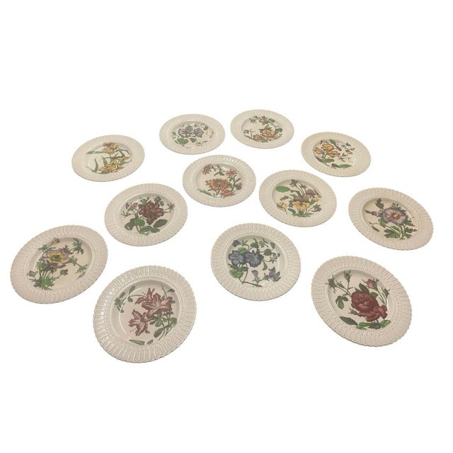 Ivory Set of 12 Antique Cauldon Ltd. England Botanical Porcelain Plates, Circa 1905–1920 For Sale - Image 8 of 12