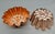 Farmhouse Vintage Copper Molds, Similar Pair — Scalloped Flower Design For Sale - Image 3 of 6