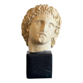 1970s Grand Tour Style Roman Bust For Sale