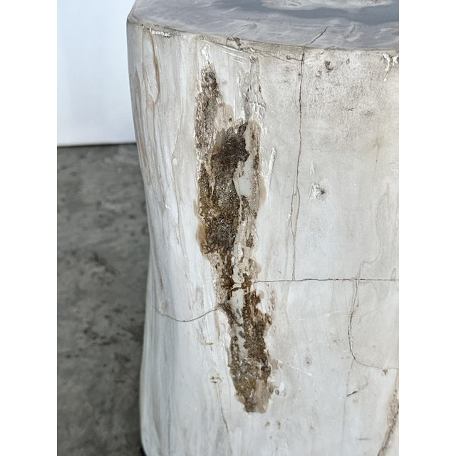 Side Table in Petrified Wood For Sale - Image 5 of 18