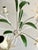 Italian White Tole Daisy 3-Light Chandelier, 1970s For Sale - Image 12 of 18