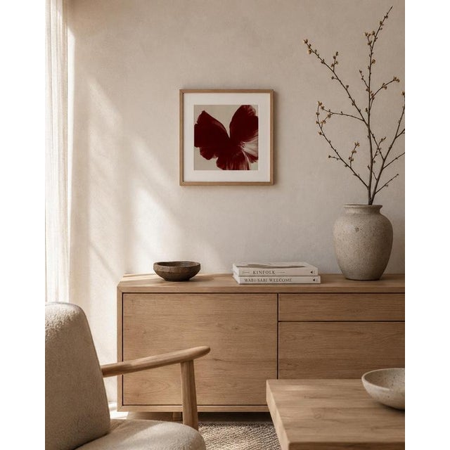 Contemporary Ugne Pouwell, Poppy Bird, Color Photograph, Signed Edition of 10 For Sale - Image 3 of 4