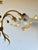 Florentine Style Gilt Metal Chandelier with Amber-Tinted Glass Shades, 1960s For Sale - Image 4 of 13
