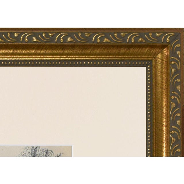 19th Century 19th Century Antique English Monkey Engraving For Sale - Image 5 of 5