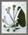 Susan Hable is a renowned artist and designer based in Athens, Georgia, known for her bold and colorful works. Co-founder...