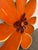 Metal Pat & Andre Juneau Metal Flower Wall Sculpture, Extra Large For Sale - Image 7 of 12