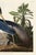 John James Audubon Louisiana Heron by John James Audubon, Vintage Art Print Reproduction, 20" × 16" For Sale - Image 4 of 5