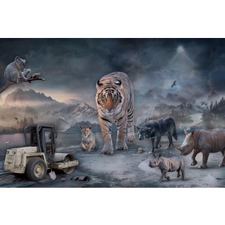 Protect What You Love by Marcin Owczarek | Photography - Dye Sublimation on Aluminum of wildlife scene For Sale