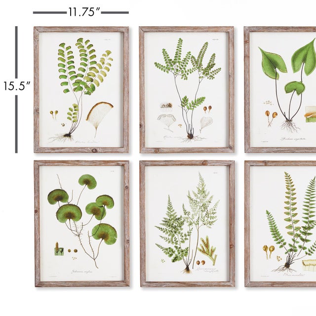 Arts & Crafts Shade Garden Study, Set Of 6 For Sale - Image 3 of 6