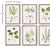 Arts & Crafts Shade Garden Study, Set Of 6 For Sale - Image 3 of 6