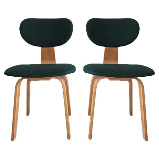 Set of SB02 Dining Chairs by Cees Braakman for Pastoe, 1950s For Sale