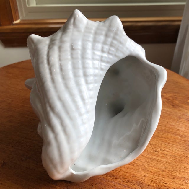 Late 20th Century Pearl White Conch Shells Cachepots Set of 2 Chairish
