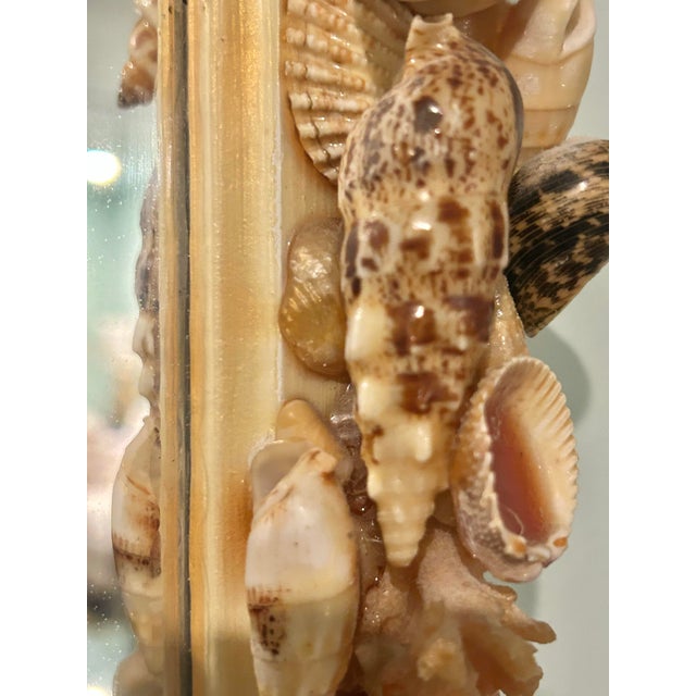 Ivory Vintage Seashell Encrusted Scalloped Wall Mirror Palm Beach Coastal Style For Sale - Image 8 of 9
