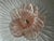 Metal Pink Murano Glass Ceiling Light, 1980s For Sale - Image 7 of 12