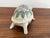 Green 1980s Porcelain Lidded Turtle Box For Sale - Image 8 of 11
