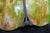 Antique Avocado Ceiling Light Shade With Slag Glass and Bronze Bands For Sale - Image 15 of 18