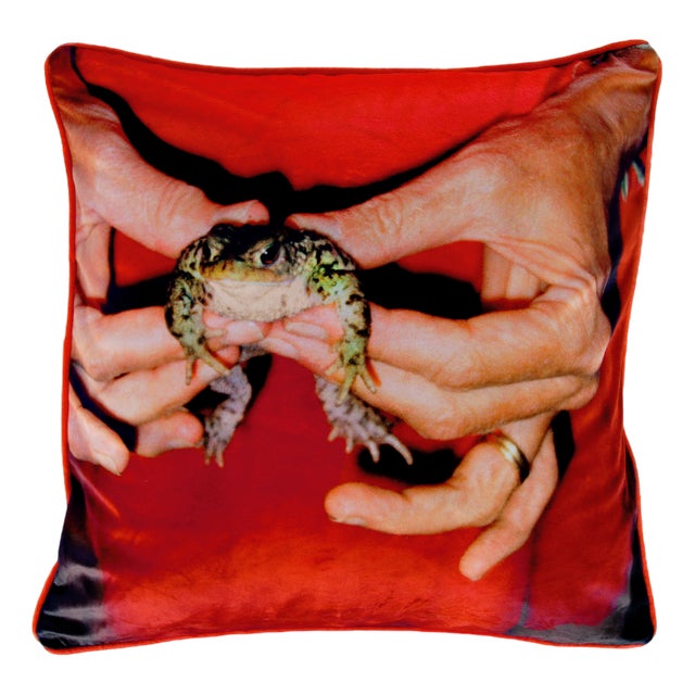 Gently Holding Frog Cushion after Mary McCartney by Henzel Studio For Sale