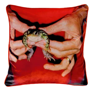 Gently Holding Frog Cushion after Mary McCartney by Henzel Studio