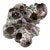 Sculptural Seaside Barnacle Cluster Decor Accent For Sale