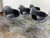 Modern Charles & Ray Eames for Vitra Eames Plastic Dar Armchair, Set of Four For Sale - Image 3 of 12
