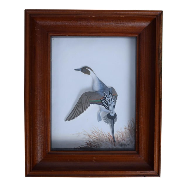 Abercrombie & Fitch X Joseph Q. Whipple Hand Painted Pintail Duck Shadowbox For Sale