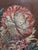 French Pair of Framed French Embrodery Floral Tapestries For Sale - Image 3 of 14