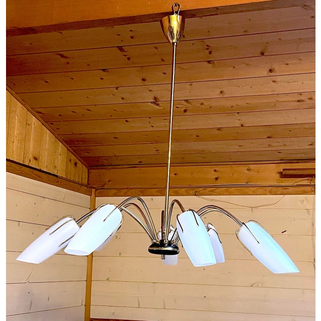 Metal Mid-Century Spider Black & Brass Chandelier, Eight Lights, Italy For Sale - Image 7 of 7