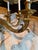 French Régence / Baroque Style Bronze Chandelier For Sale - Image 11 of 17