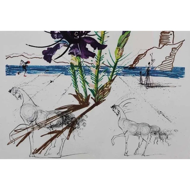 Salvador Dali, Iris Dali’s Youth, 20th Century, Signed Lithograph For Sale - Image 4 of 7