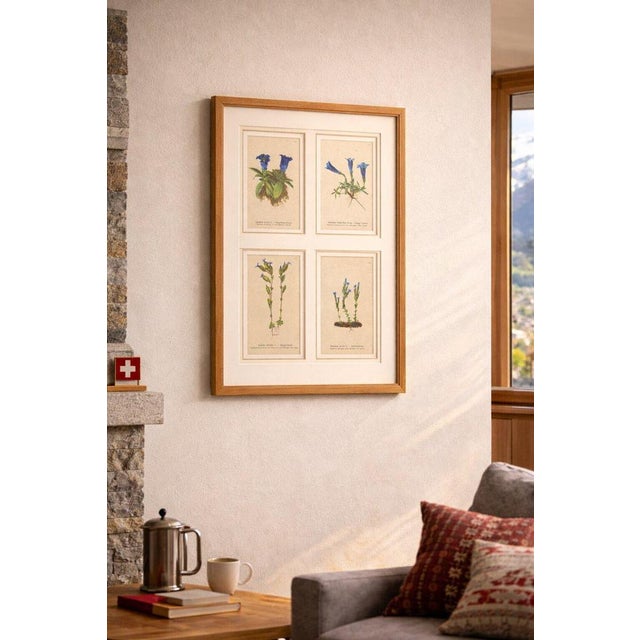 Alpine Gentian Botanical Illustrations, 1897, Set of 4 For Sale - Image 4 of 9