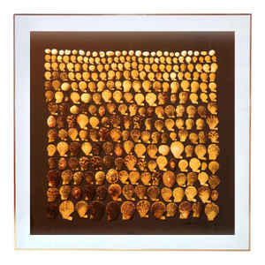 Framed Hermès Scarf "Coquilles" by Robert Delpire, 1964 - Orange Gold Frame