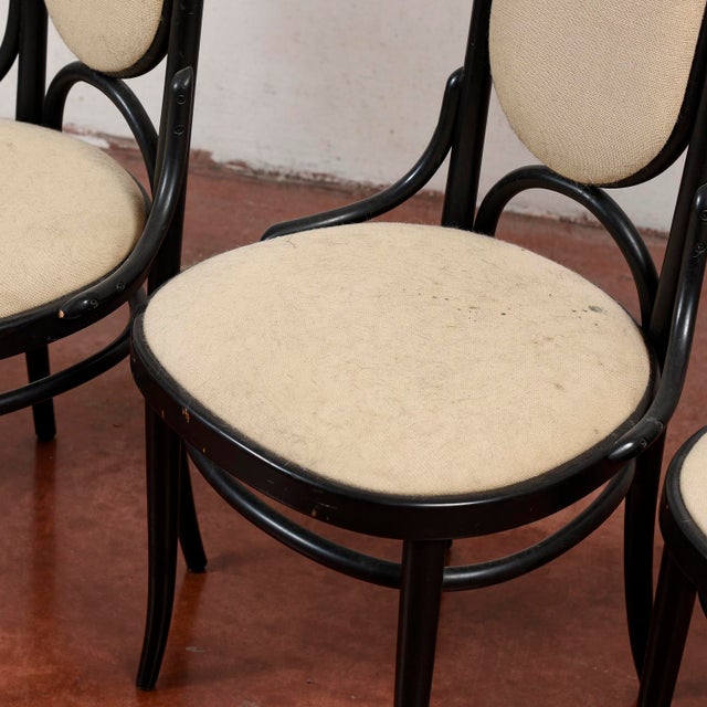 Dining Chairs by Michael Thonet for Thonet, 1986, Set of 4 For Sale - Image 16 of 17