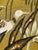 Modern French Aubusson Tapestry by Rene Fumeron, 1950s For Sale - Image 6 of 18