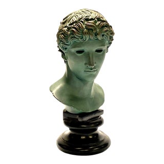 Apollo Faux Bronze Museum Replica Bust by Alva Studio For Sale