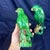 A great pair of 19th or 20th Century Chinese Export pottery green glazed parrots. VERY Rich green majolica glaze, color...