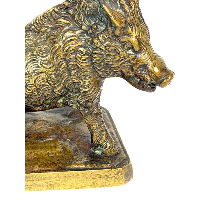 Gold Italian Grand Tour Bronze “Porcellino” Boar After Pietro Tacca, Florence, 19th C For Sale - Image 8 of 10