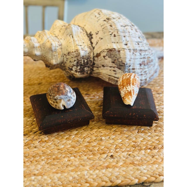 Coastal Small Shell Boxes, Set of 2 For Sale - Image 3 of 5