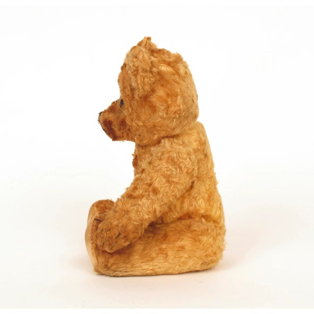 Vintage 1930's Golden Color Mohair Jointed Teddy Bear Toy Excelsior Wood Wool Stuffed Animal, Made in England For Sale In Tampa - Image 6 of 10